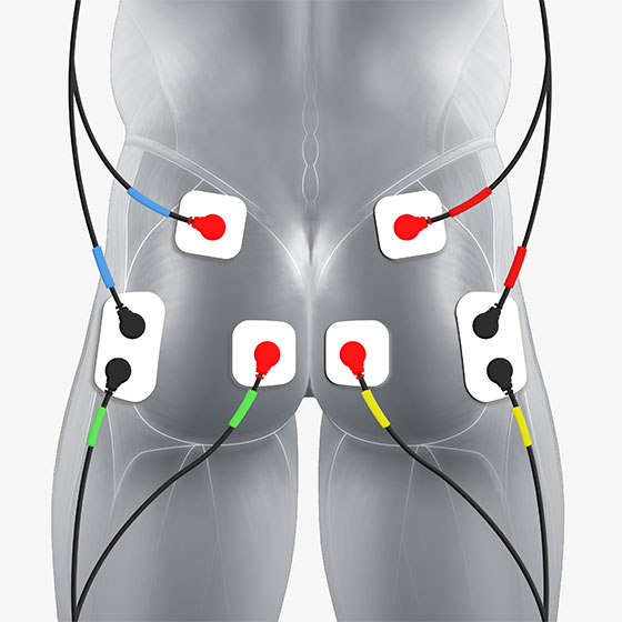 Lower Back Muscles Electrode Pad Placement