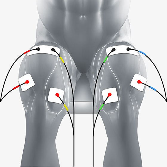 Quads Electrode Pad Placement  EMS/TENS Electrodes Placement Quadriceps